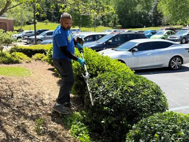 Elite Lawn & Landscape team member tending a hedge